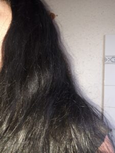 Bruns à noirs en passant par violine... 4 20240217 135842