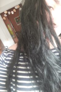 Bruns à noirs en passant par violine... 5 20240218 141905