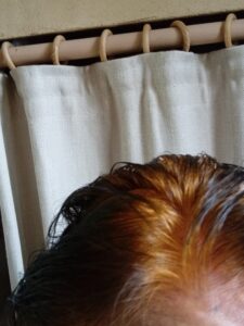 Bruns à noirs en passant par violine... 10 20240916 154400