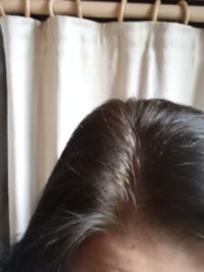 Bruns à noirs en passant par violine... 11 20240917 090852